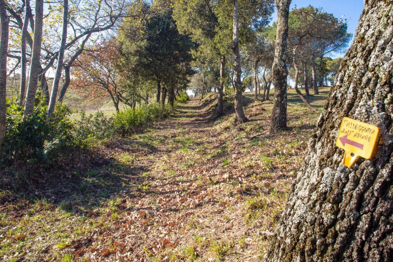Hotel Glamping Debbiare Riparbella Esterno foto