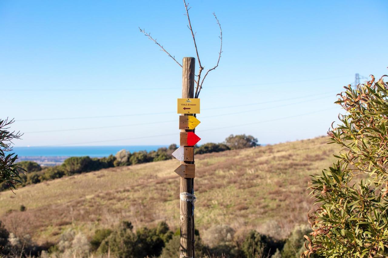 Hotel Glamping Debbiare Riparbella Esterno foto