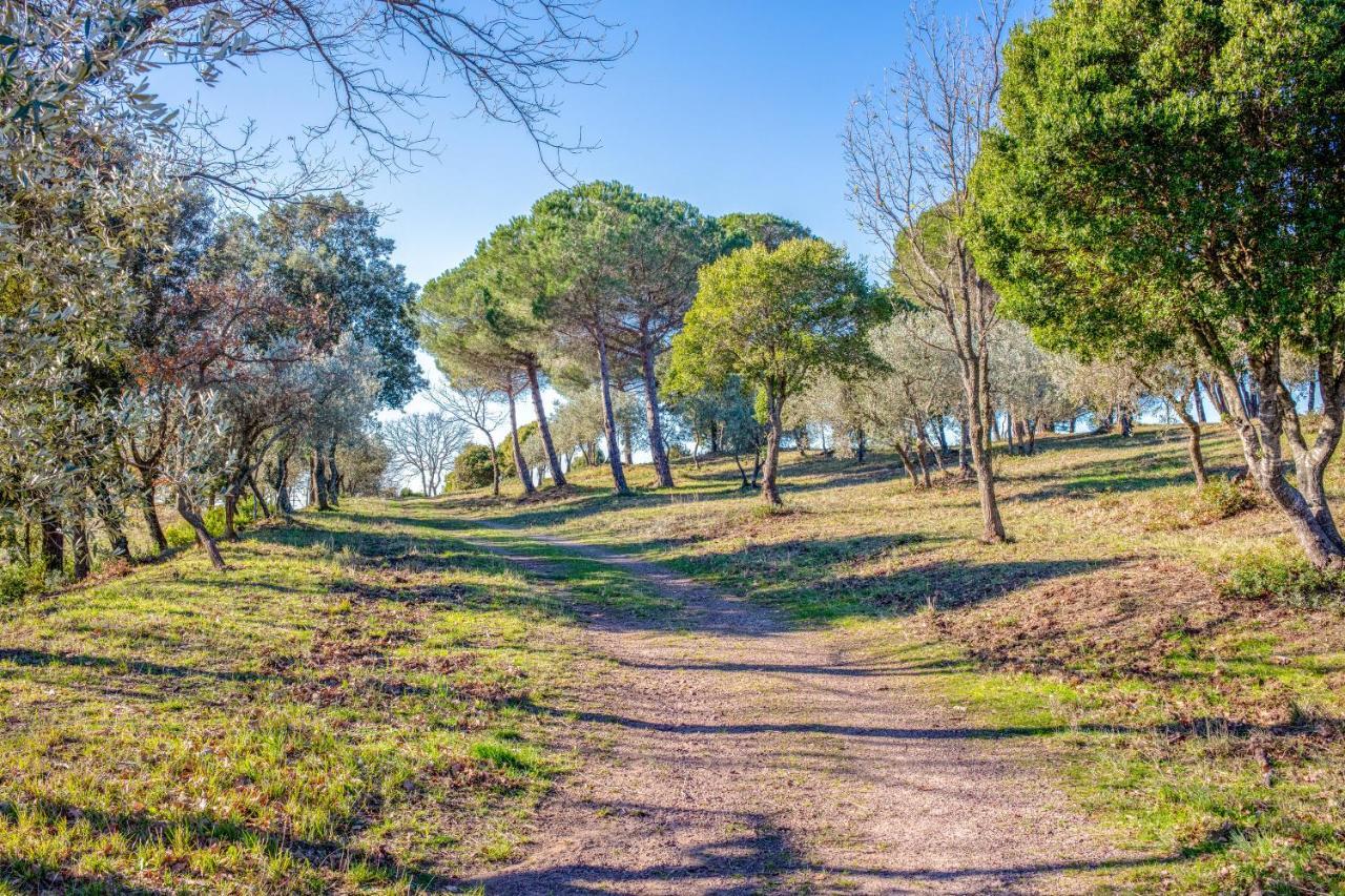 Hotel Glamping Debbiare Riparbella Esterno foto