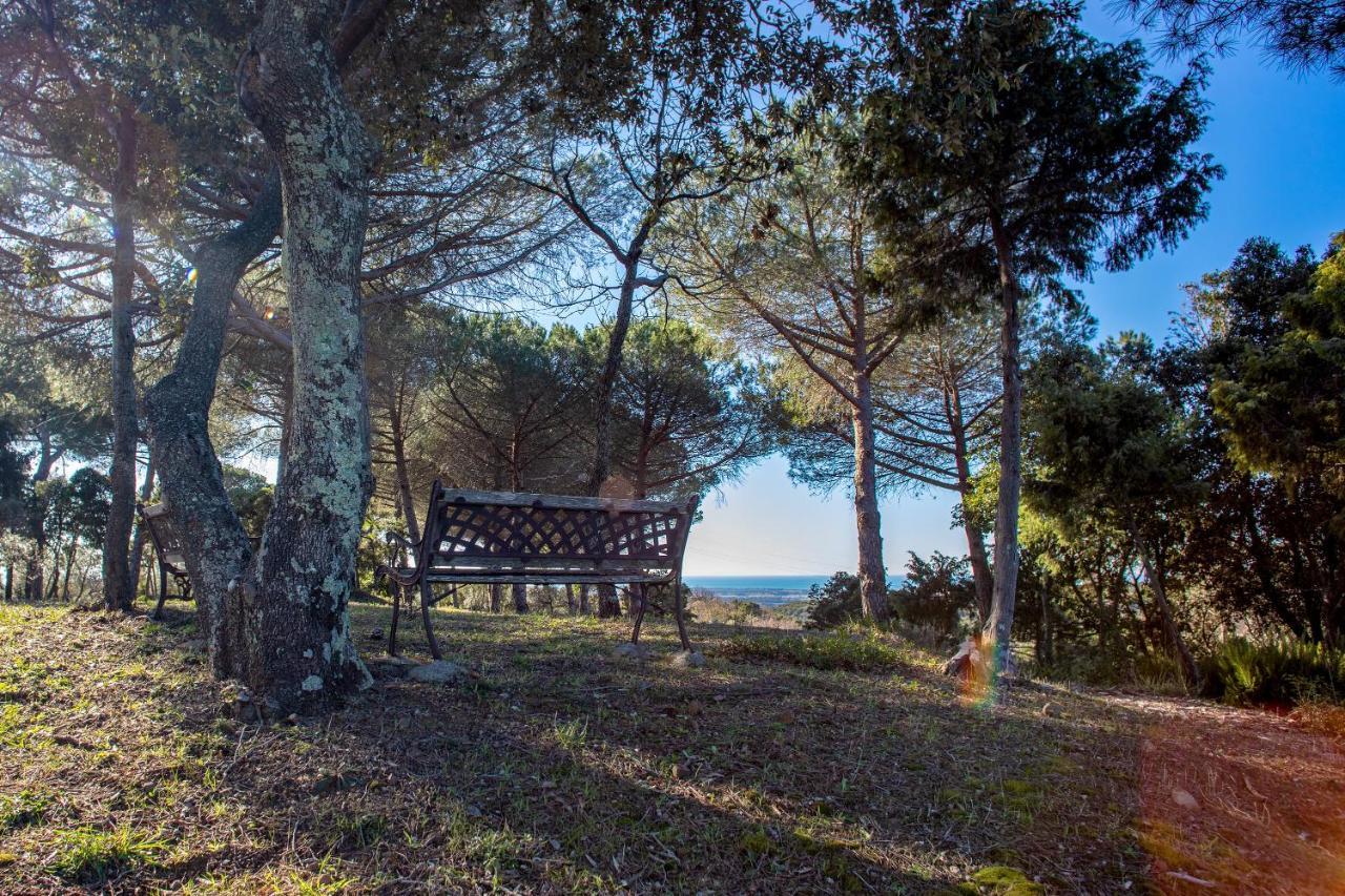 Hotel Glamping Debbiare Riparbella Esterno foto