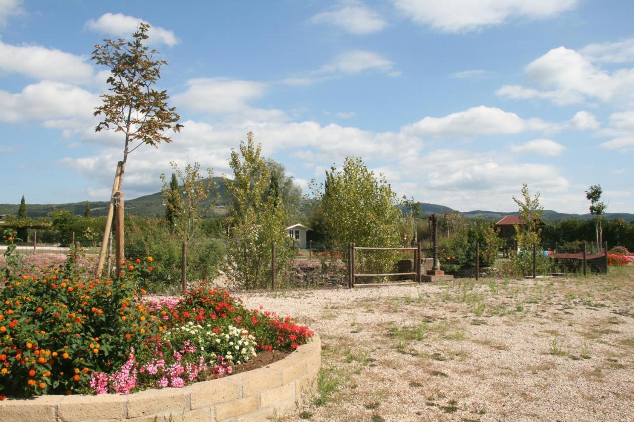 Hotel Glamping Debbiare Riparbella Esterno foto