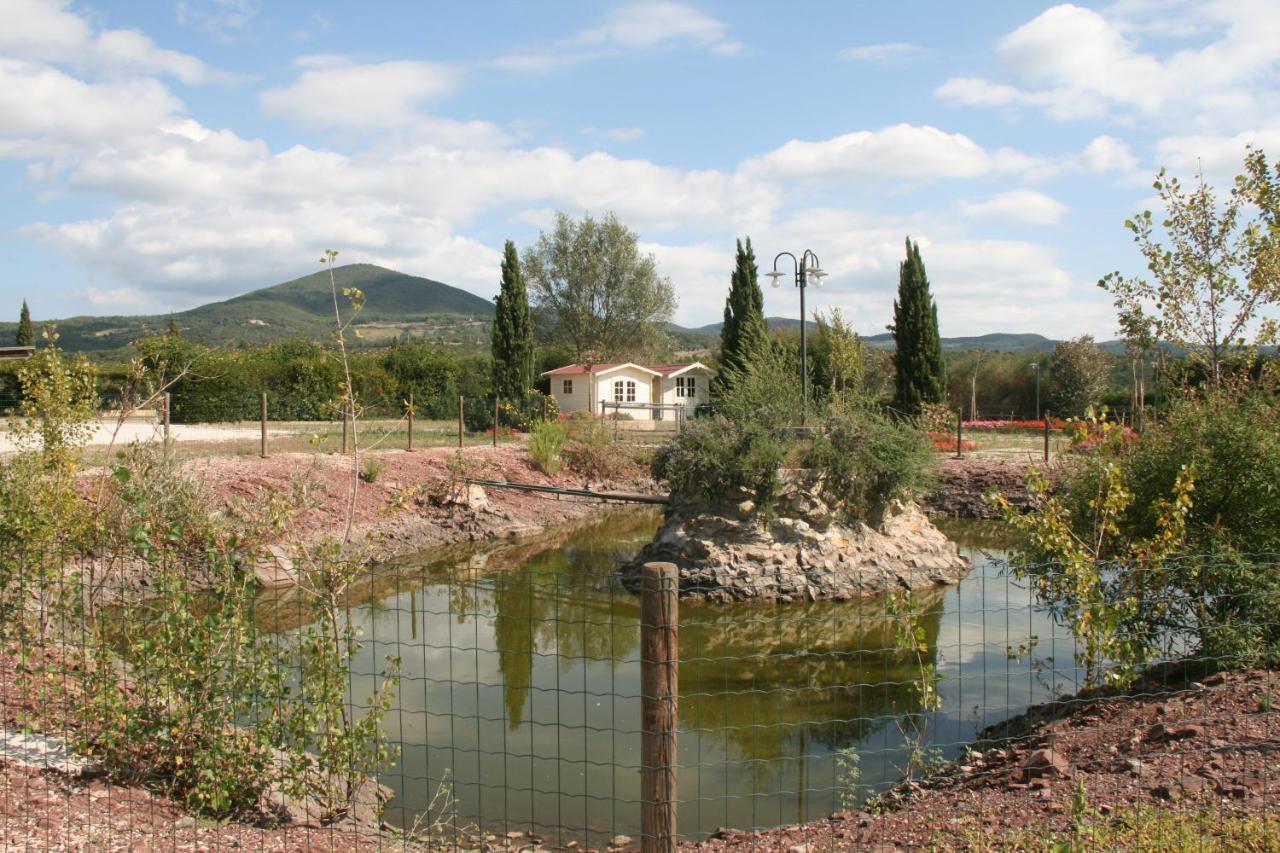 Hotel Glamping Debbiare Riparbella Esterno foto